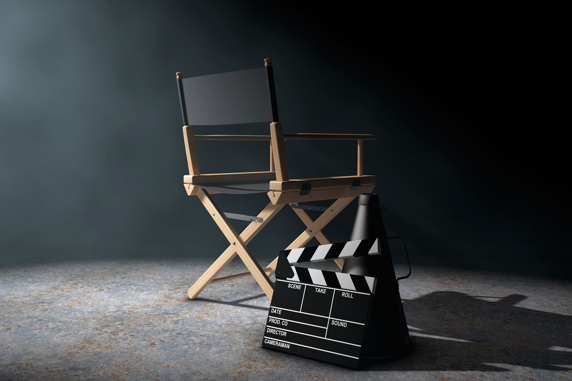 Directors Chair in the Shadows