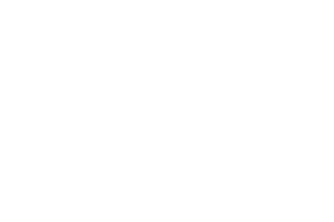 Niagara Logo