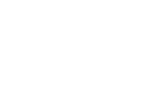 Bomber Ski Logo