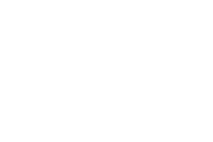 Bomber Ski Logo