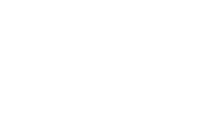 Fernet-Branca Logo