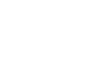 Hublot Logo