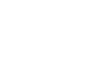 Lexus Logo