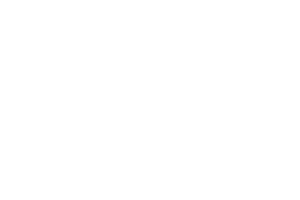 Reebok Logo