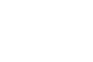 SHEIN Logo