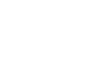 Talon Air Logo
